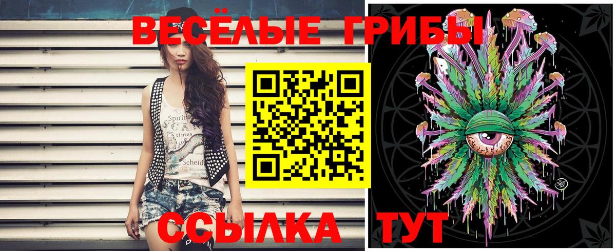 купить наркотик  Вход с VPN  Киров  Галлюциногенные грибы MAGIC MUSHROOMS 